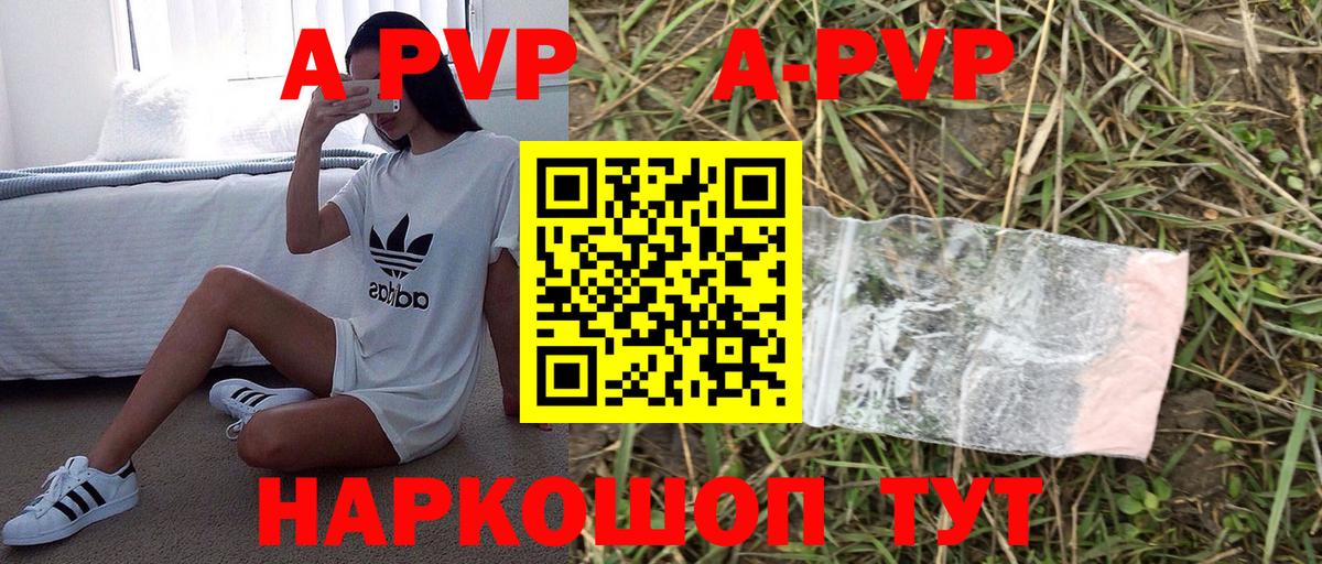 A PVP СК Йошкар-Ола