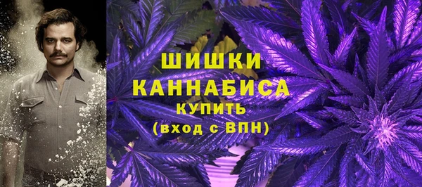 МДПВ Касимов