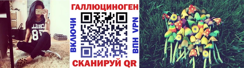Псилоцибиновые грибы Cubensis  мега ТОР  Йошкар-Ола 