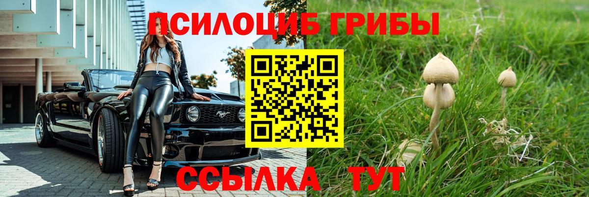 Галлюциногенные грибы MAGIC MUSHROOMS  Псилоцибиновые грибы ЛСД  Йошкар-Ола 